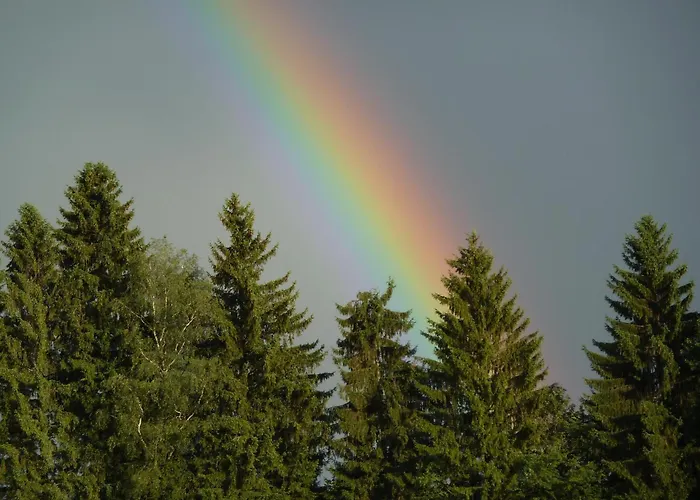 Hotel Haus Alpenhof Immenstadt im Allgäu
