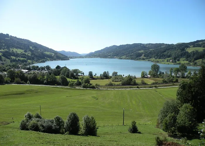 Goldiger Hirsch B&B mit Kochmöglichkeiten Immenstadt im Allgäu